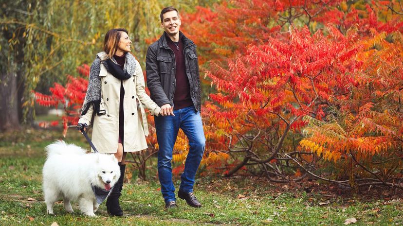 Couple with dog enjoying a walk in the park