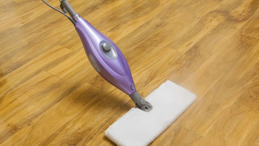 Steam mop