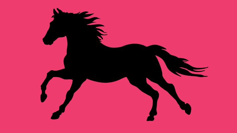 horse