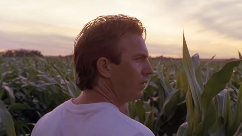 8 - Field of Dreams