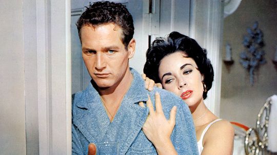 Claw your way into the "Cat on a Hot Tin Roof" quiz