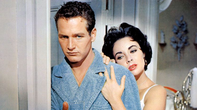 Claw your way into the "Cat on a Hot Tin Roof" quiz