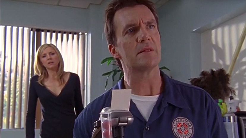 Question 24 - animal