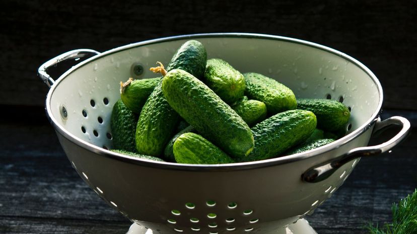 19 pickles
