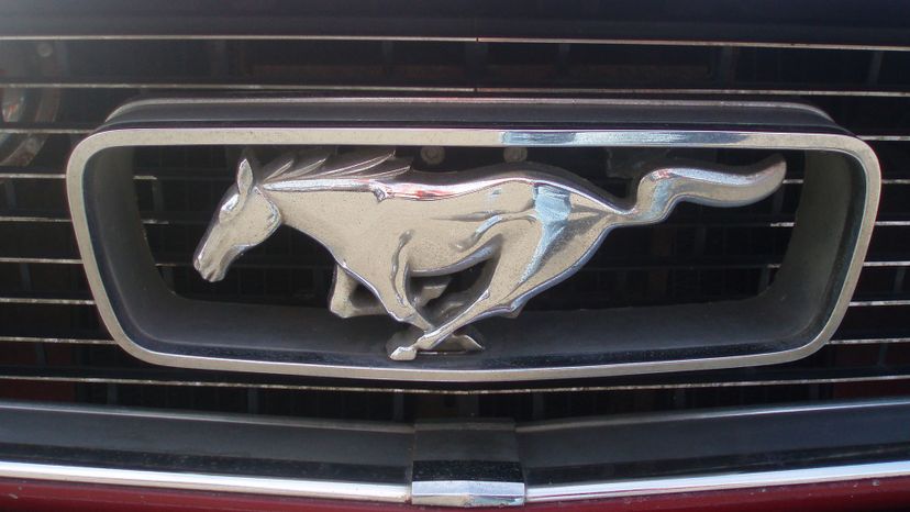 Mustang Pony