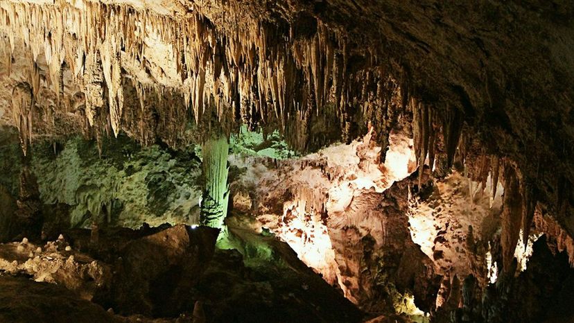 Carlsbad Caverns NM