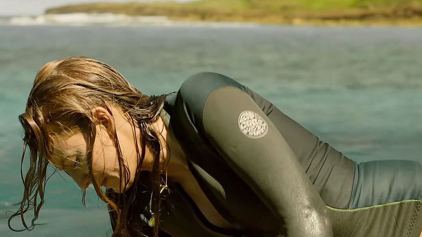 Question 5 - The Shallows