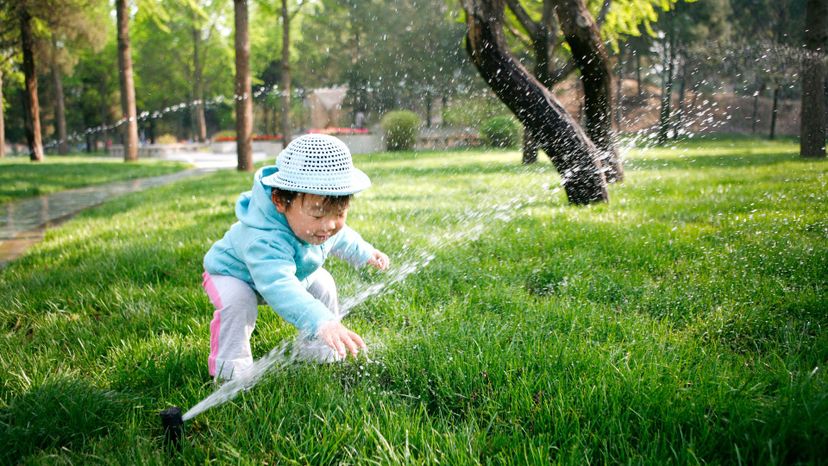 in the yard (use the most water)
