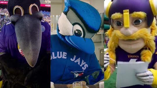 What Pro Sports Team Mascot are You?