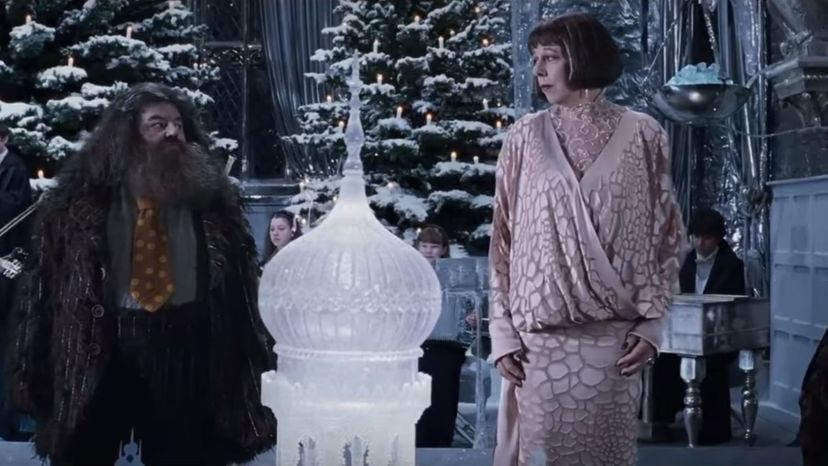 Who Will Be Your Date to The Yule Ball 3