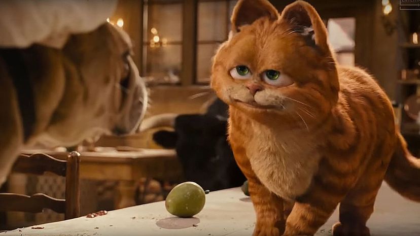 What We Know About the Cats Movie So Far