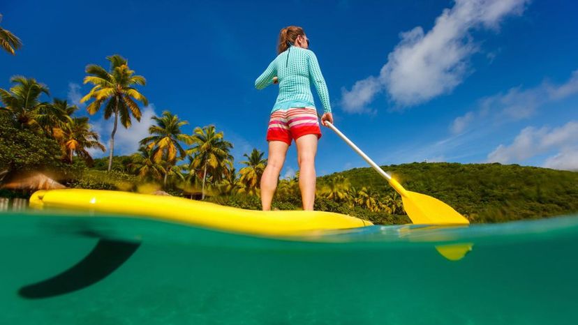 Paddle board