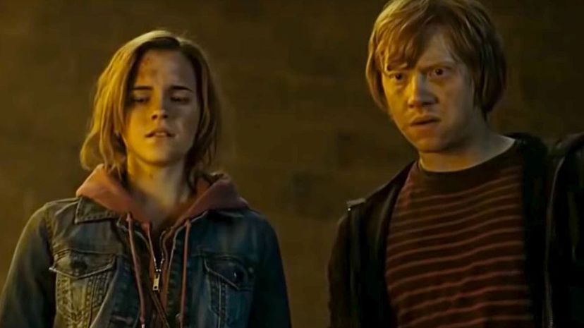 22-Ron and Hermione