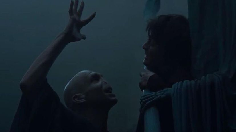 Voldemort &amp; Harry Potter