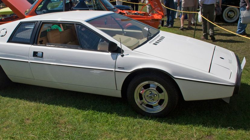 White Lotus Esprit