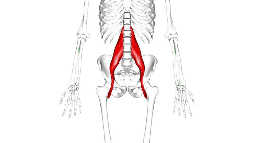 Iliopsoa