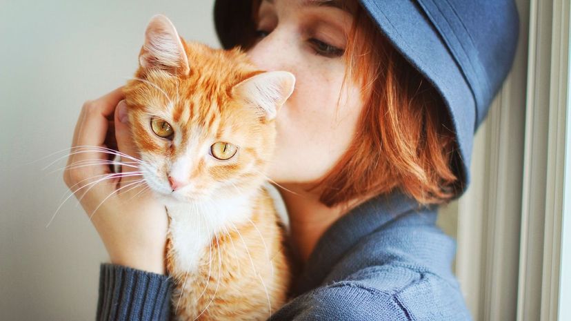 Do You Have Crazy Cat Lady Tendencies?