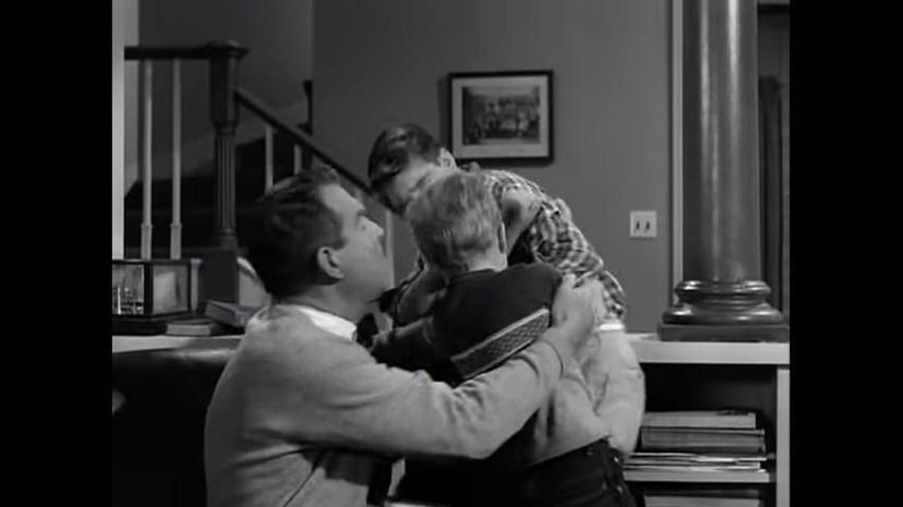 My Three Sons (1960-1972)