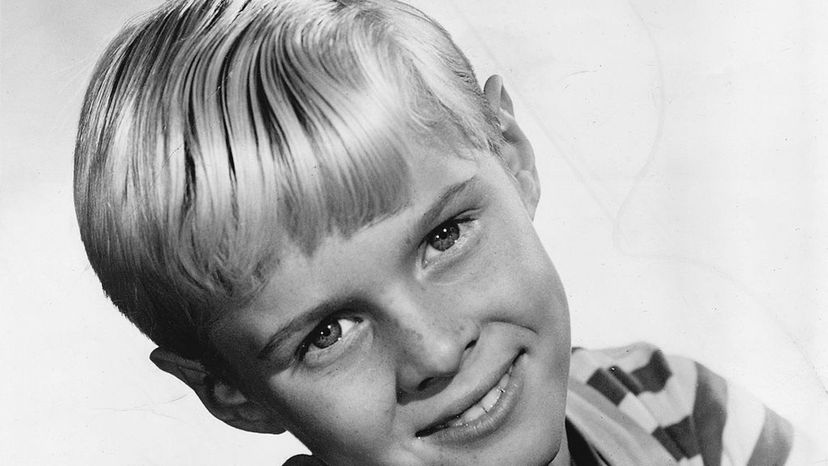 Jay North