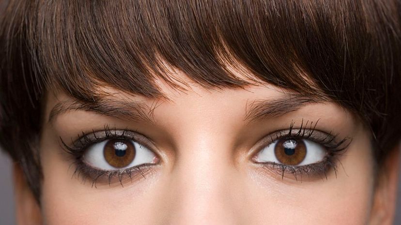 Eyes makeup of a young woman