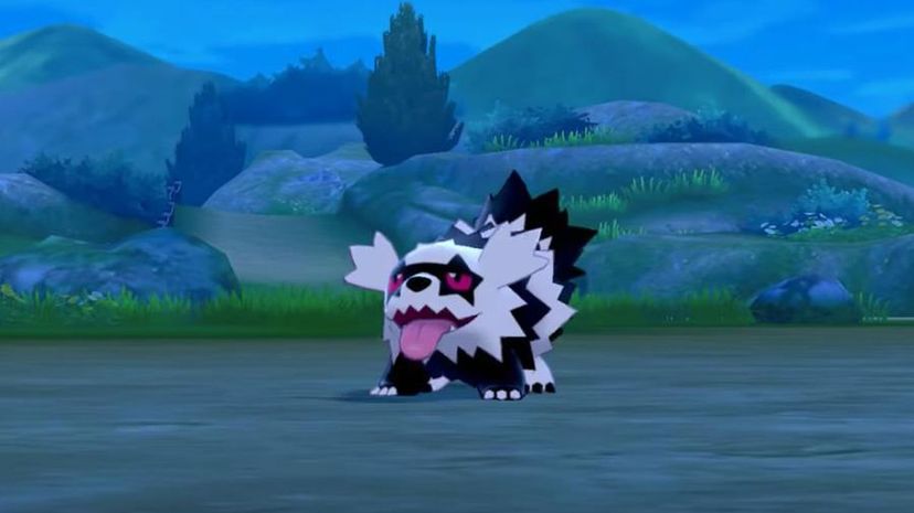 Zigzagoon