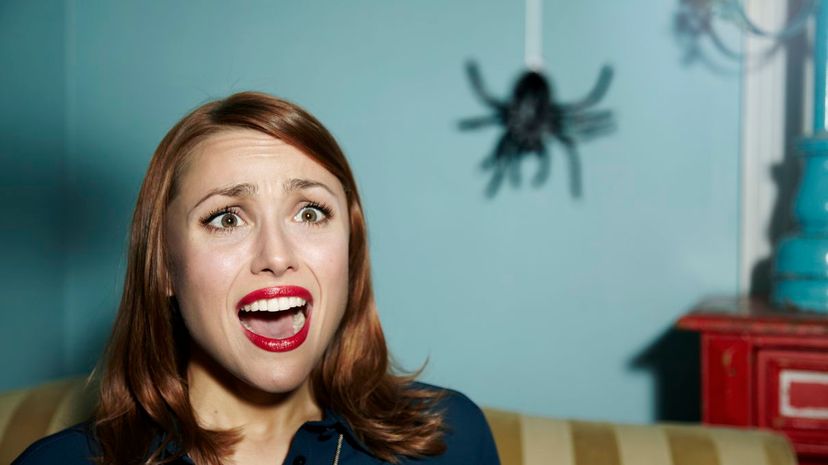 Spider phobia
