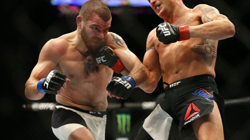 The Ultimate Fighting Championship Quiz