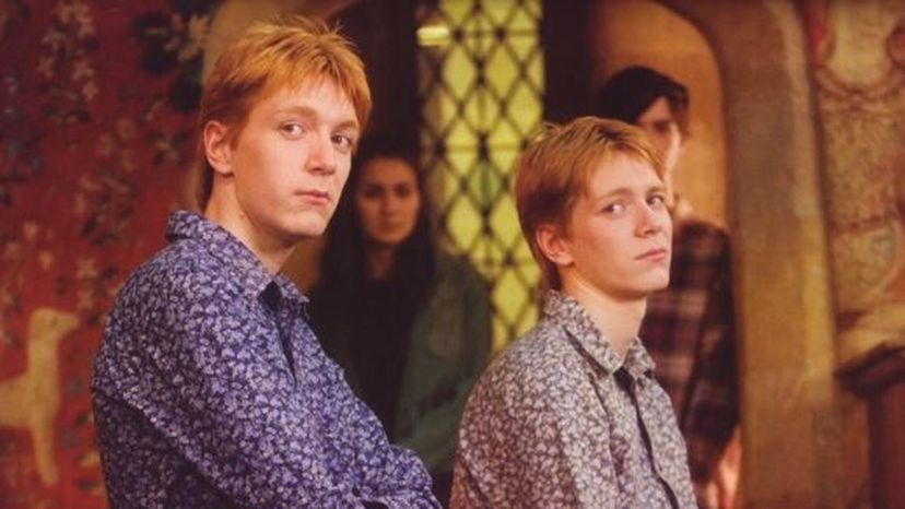 Are you more like Fred or George Weasley 2