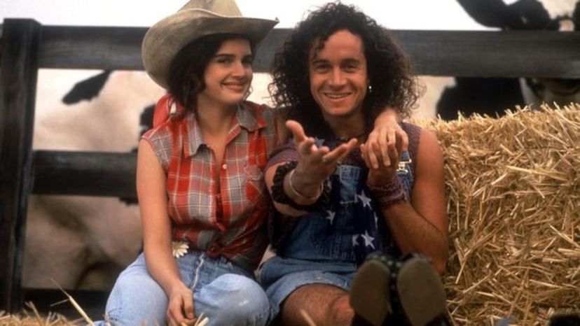 How much do you know about the movie Son in Law, with Pauly Shore?