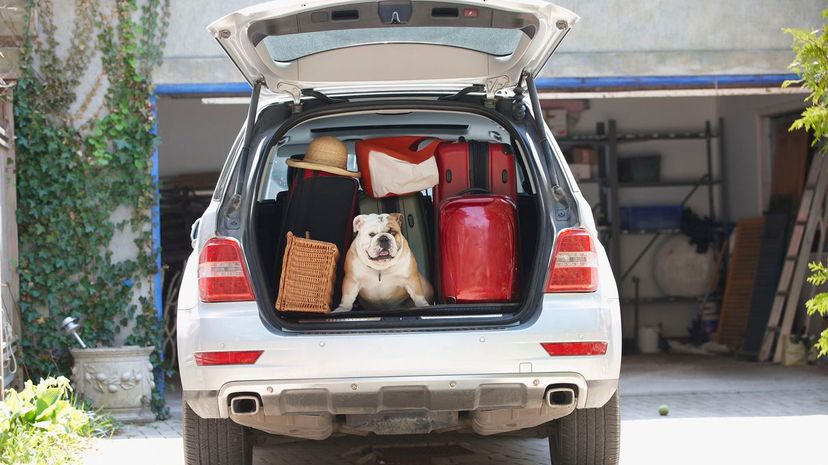 13 - trunk space