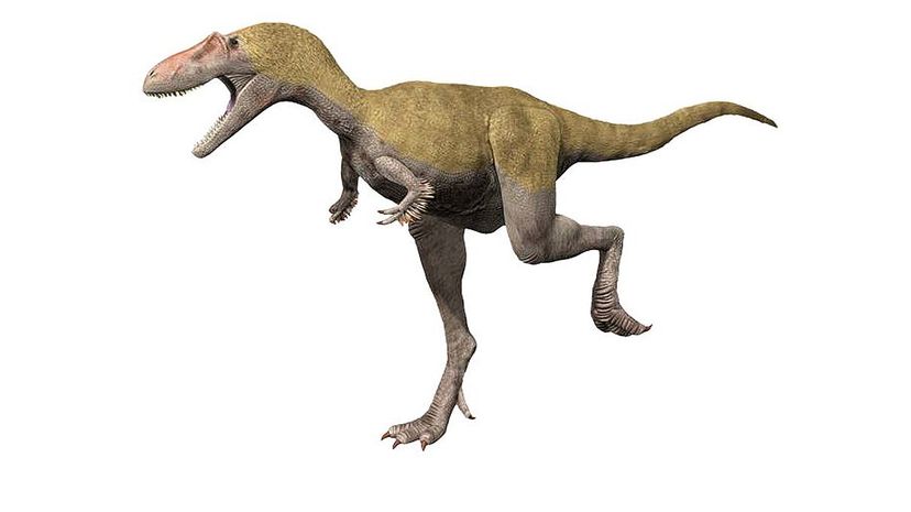 Albertosaurus