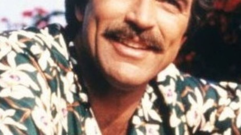 Magnum P.I. crop