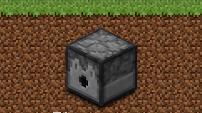 Find the Minecraft Block Quiz