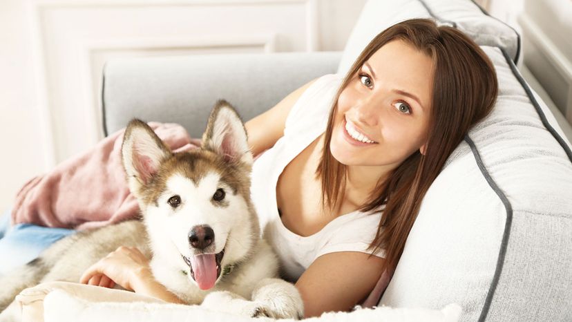 ¿Qué raza de perro es la guardiana de tu alma?