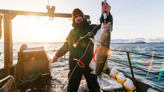 Can We Guess the Biggest Fish You Ever Caught?