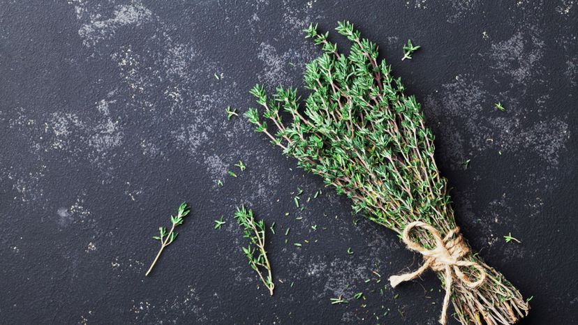 Thyme