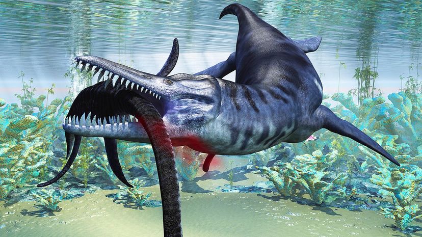 Liopleurodon