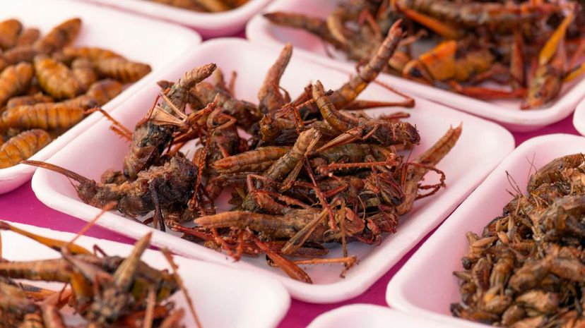 Plates of insects for sale in market