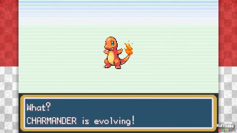 6 evolving starter