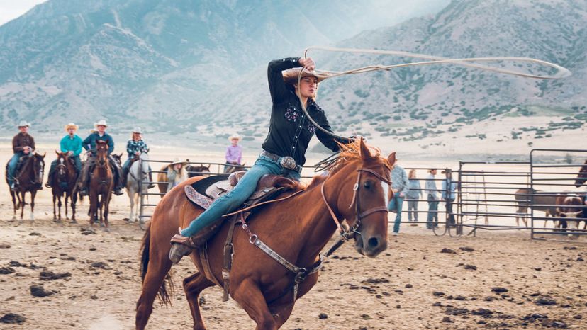 ¿Cuál sería tu trabajo como vaquero?