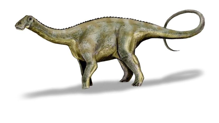 Nigersaurus