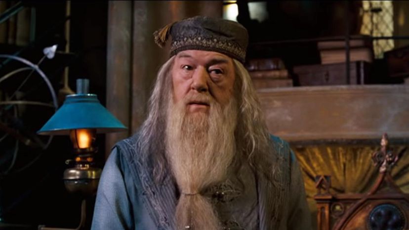 Which Hogwarts Professor Matches Your Personality?