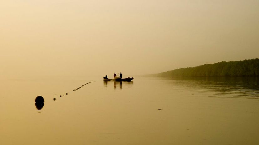 #7 Gambia River