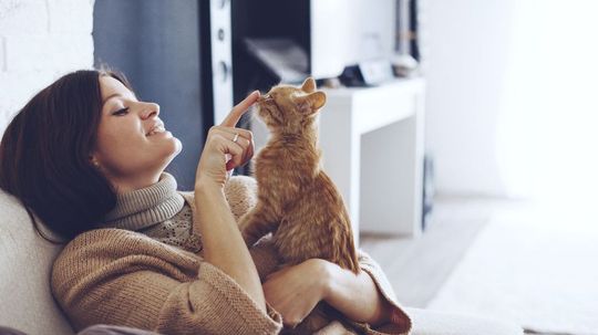 Which Cat Breed Is Your Perfect Match?