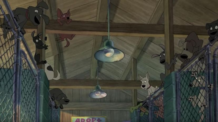 Lilo &amp; Stitch Dog Shelter