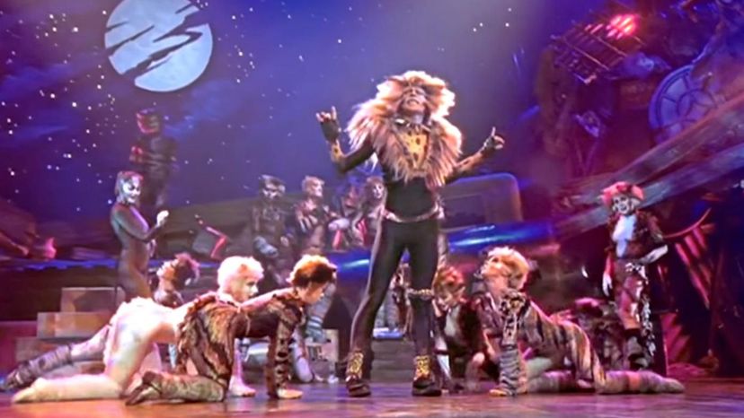 Do You Remember Cats the Musical?
