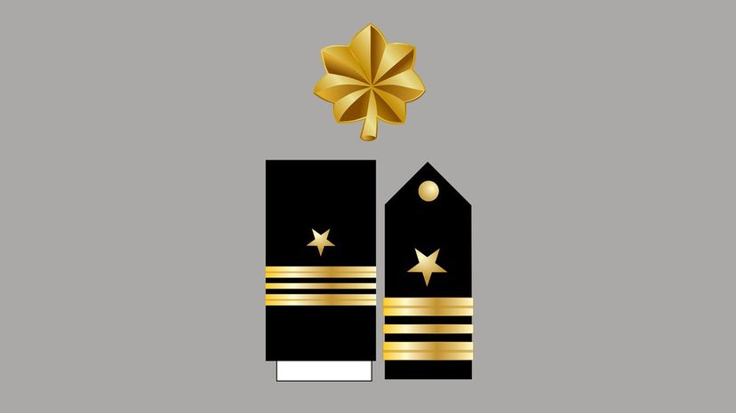 Identify this rank from the insignia in the image.