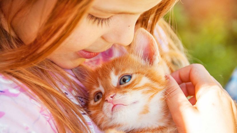 Can We Guess Your Favorite Childhood Pet?