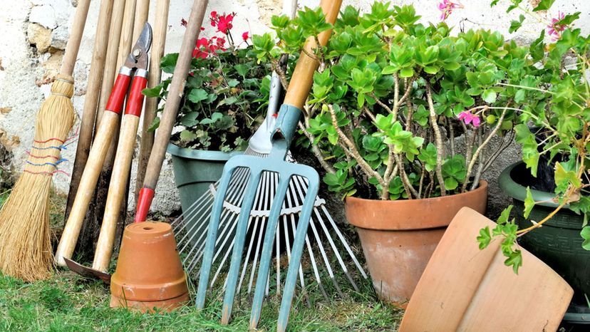 Can You Name All of These Gardening Tools from an Image?