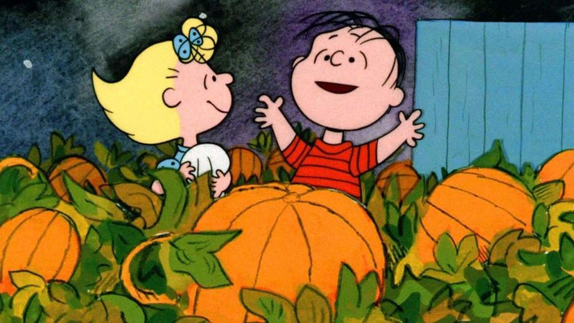 Quiz to see if you are a true fan of It's the Great Pumpkin, Charlie Brown?